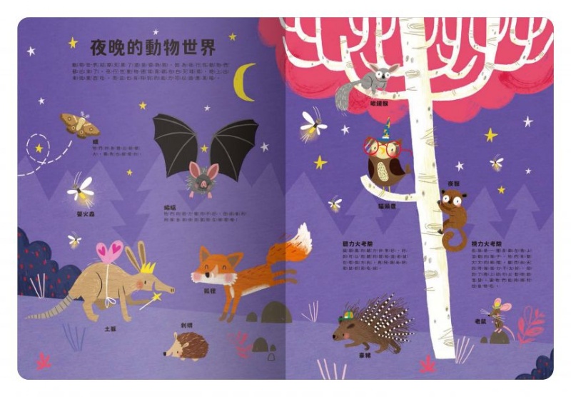 出發！探索之旅！大書陪我看動物